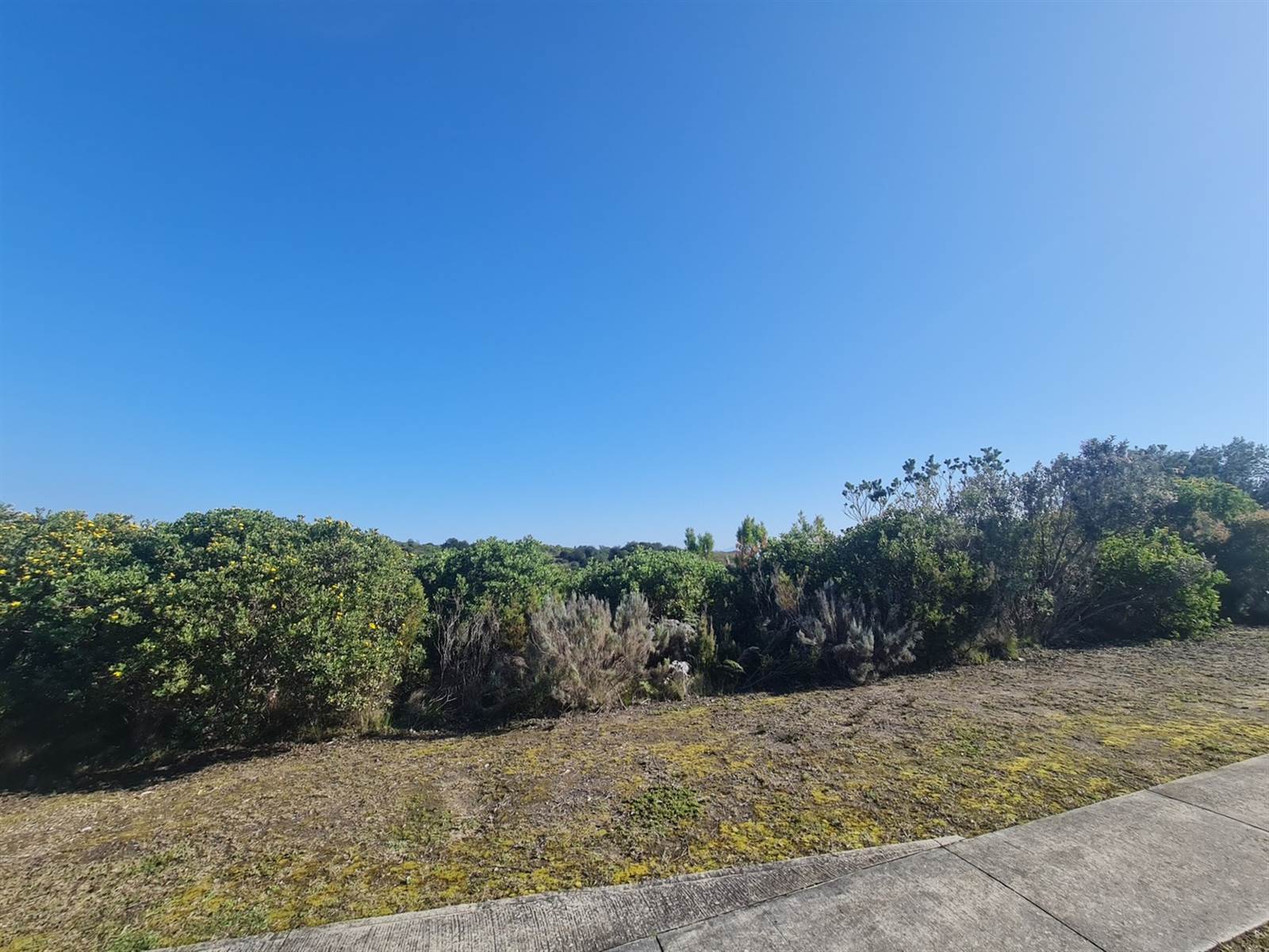 4741 m² Land available in Pezula Private Estate photo number 7