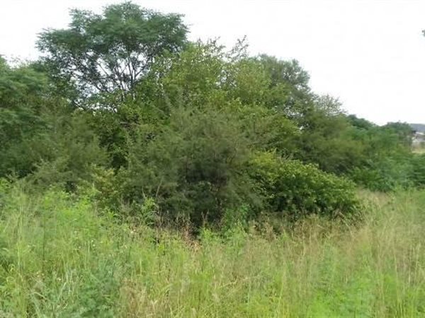 4049 m² Land available in Ashburton