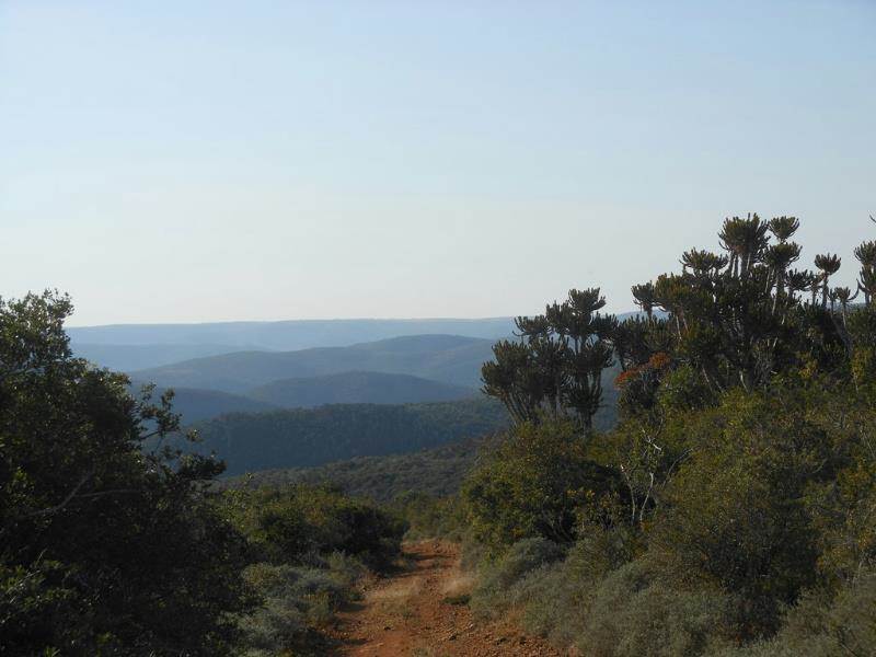 Game Farm in Grahamstown Central photo number 29