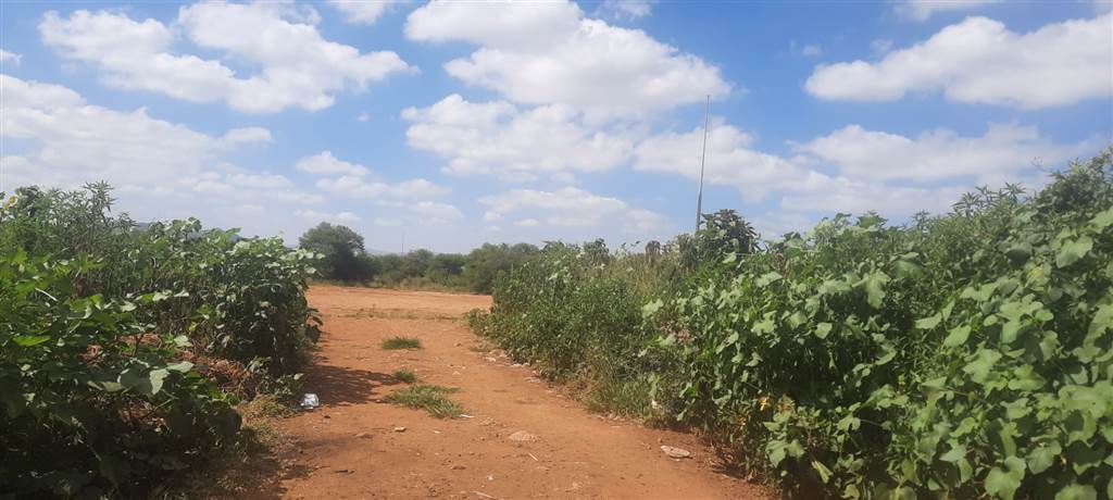 5449 m² Land available in Ga-rankuwa photo number 7