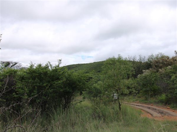 2500 m² Land available in Bela-Bela (Warmbaths)