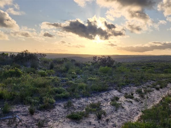 360 ha Farm