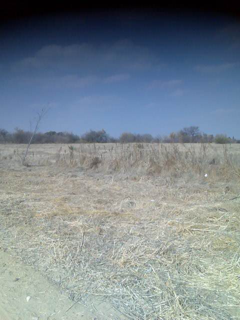 1500 m² Land available in Ventersburg photo number 2