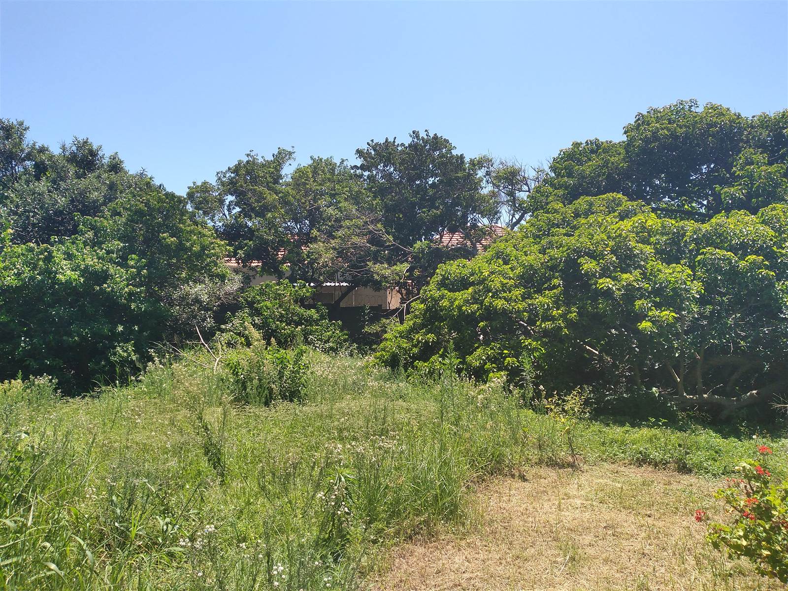 1257 m² Land available in Athlone Park photo number 8
