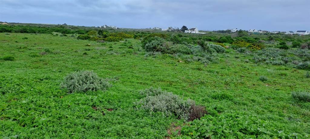 2.5 ha Land available in Jacobsbaai photo number 12