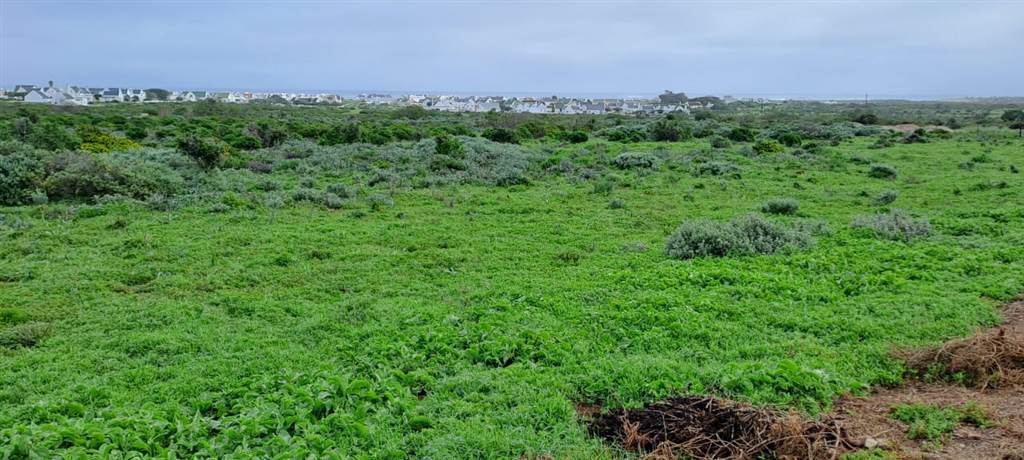2.5 ha Land available in Jacobsbaai photo number 9