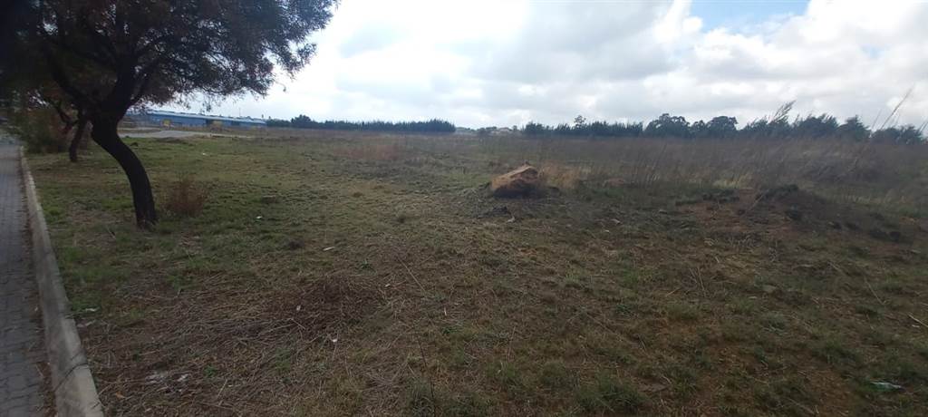 8445 m² Land available in Tasbet Park photo number 4