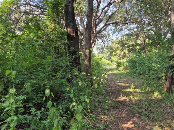 2 800 m² Land 2 800 m² Land