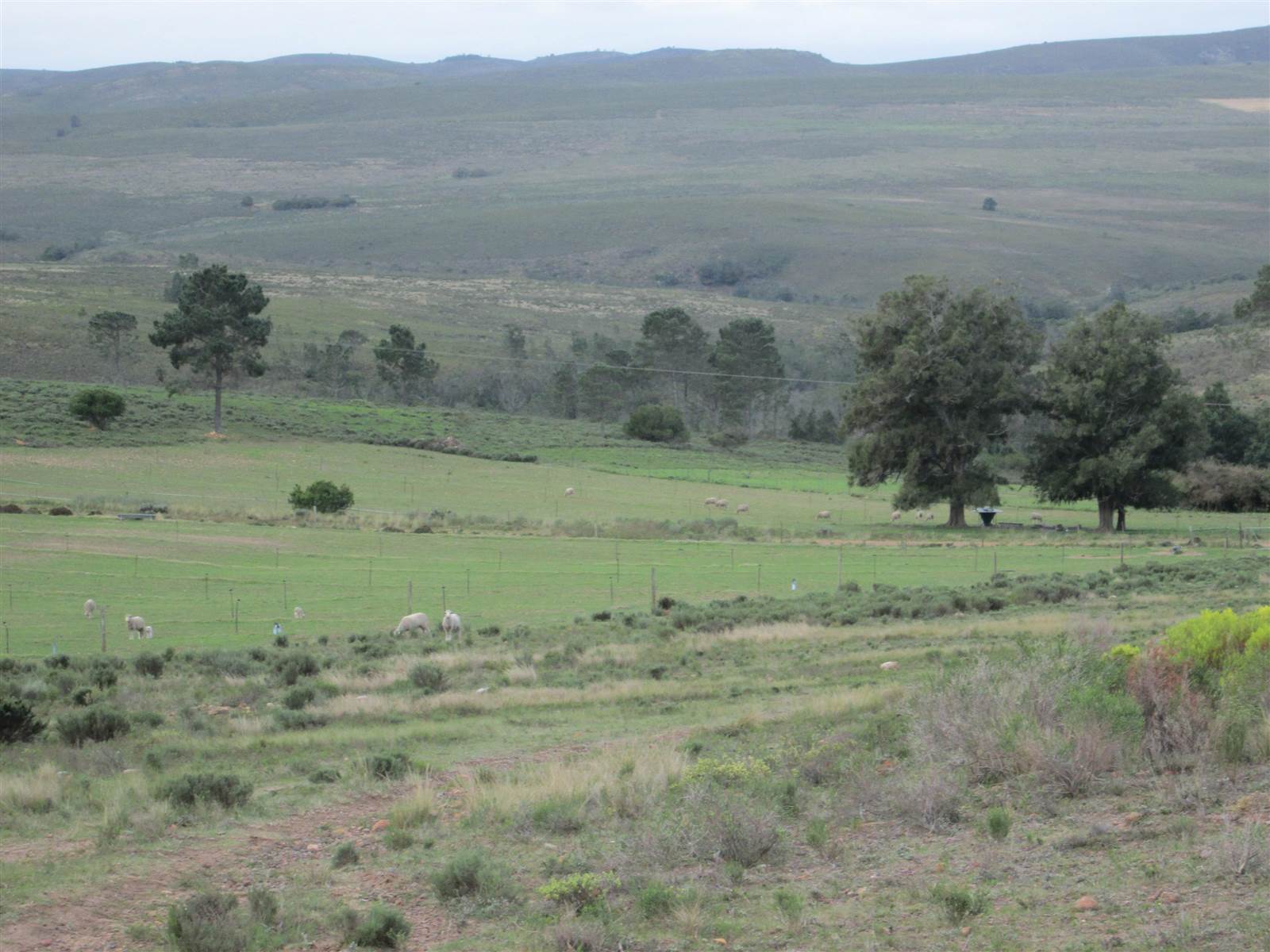 613 ha Farm in Humansdorp photo number 23