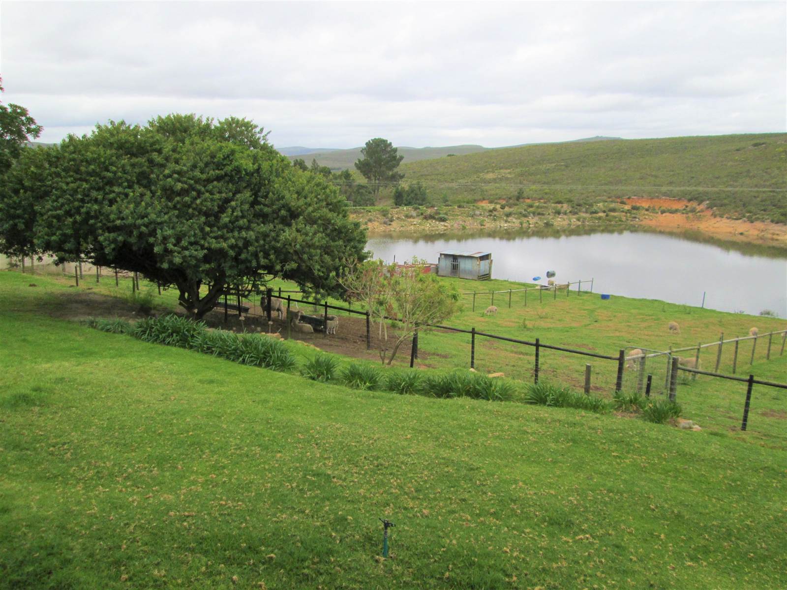 613 ha Farm in Humansdorp photo number 4