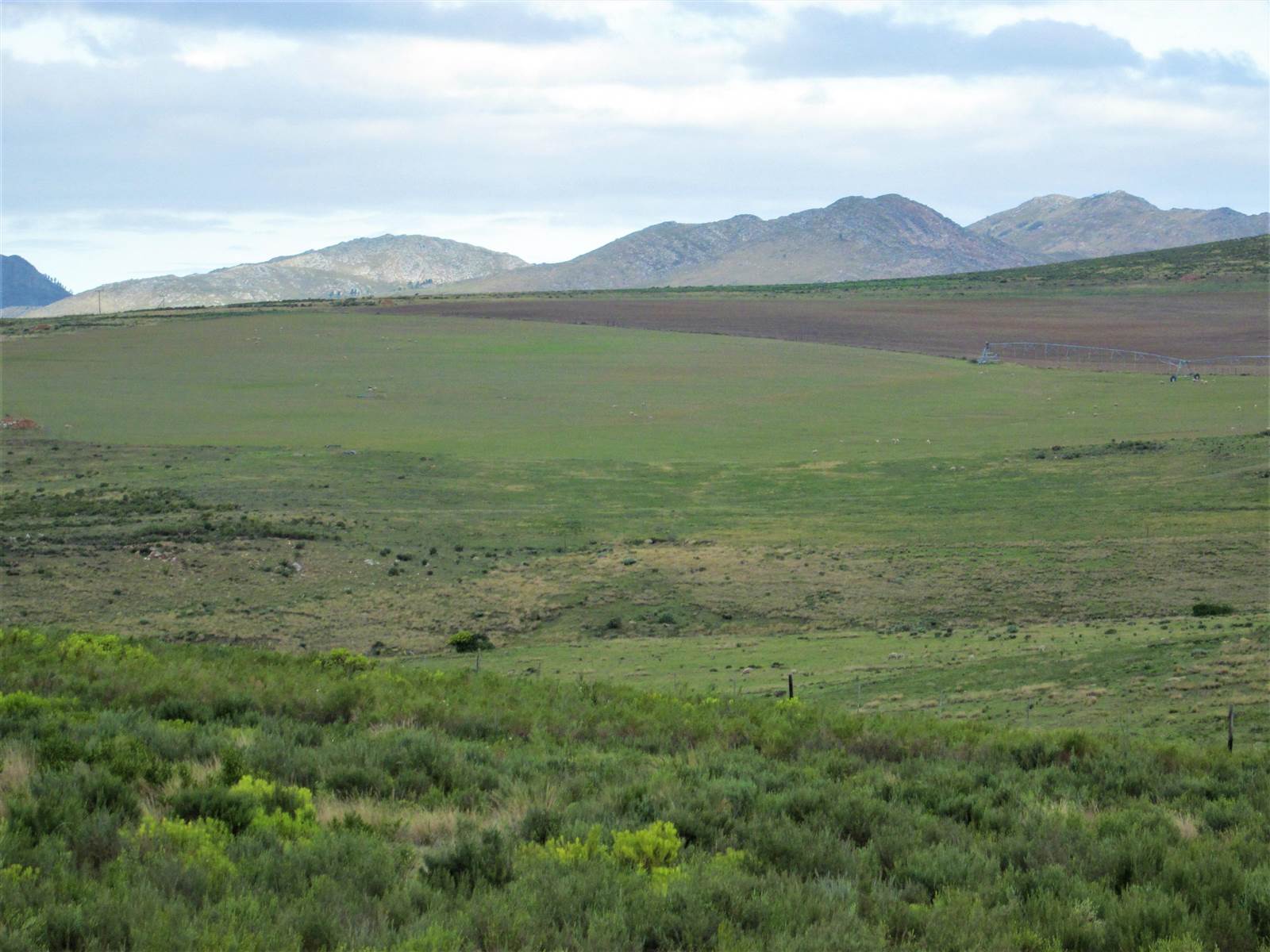 613 ha Farm in Humansdorp photo number 2