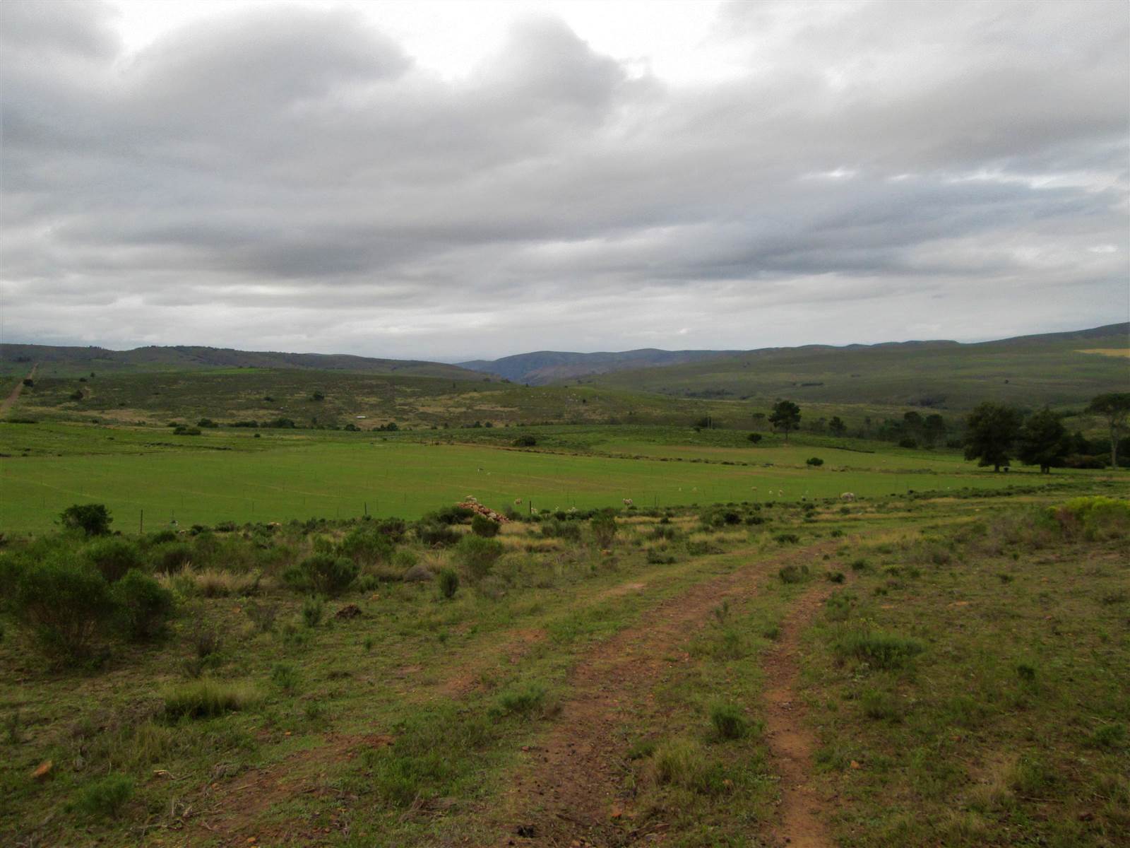 613 ha Farm in Humansdorp photo number 21