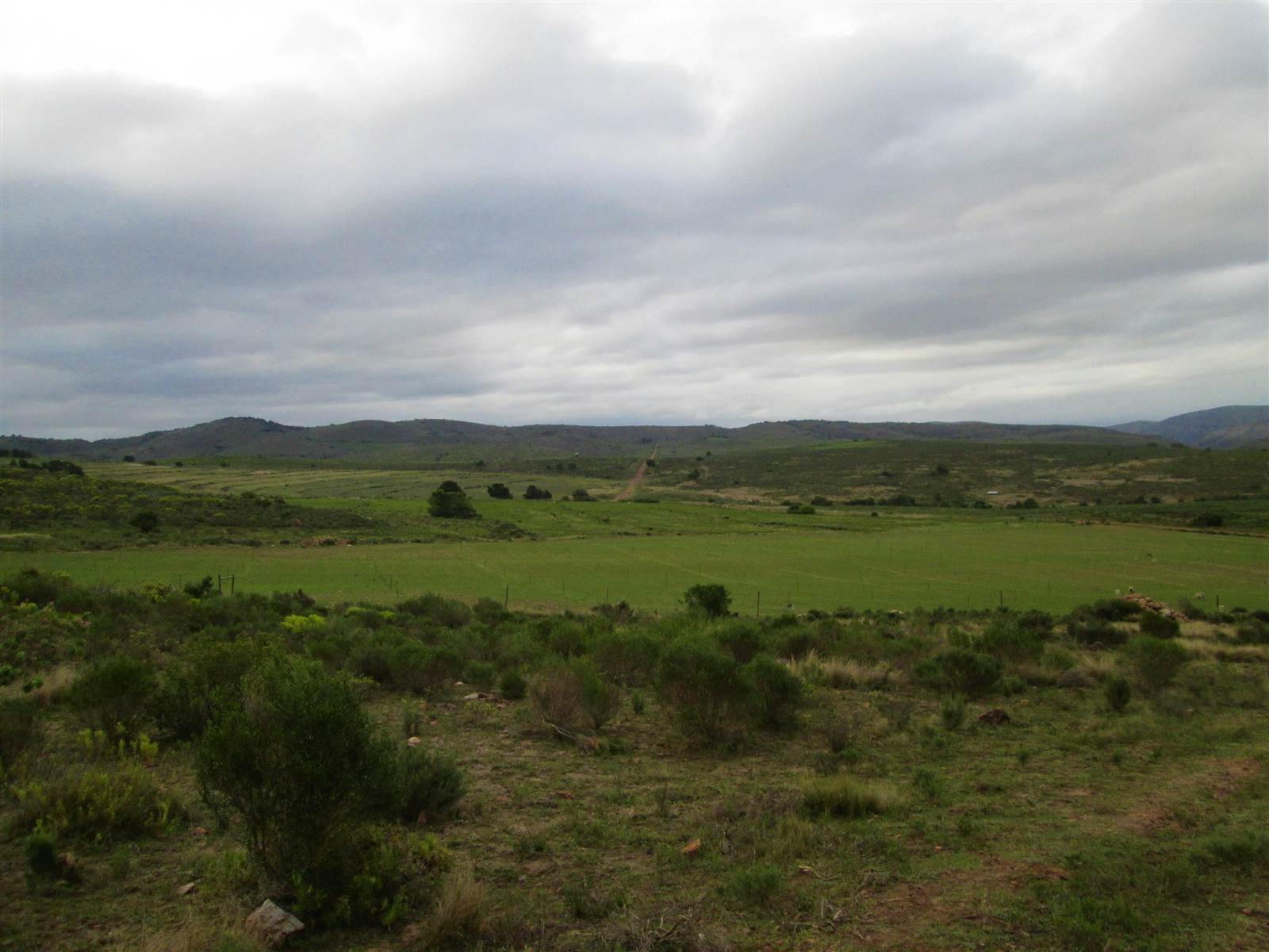 613 ha Farm in Humansdorp photo number 22