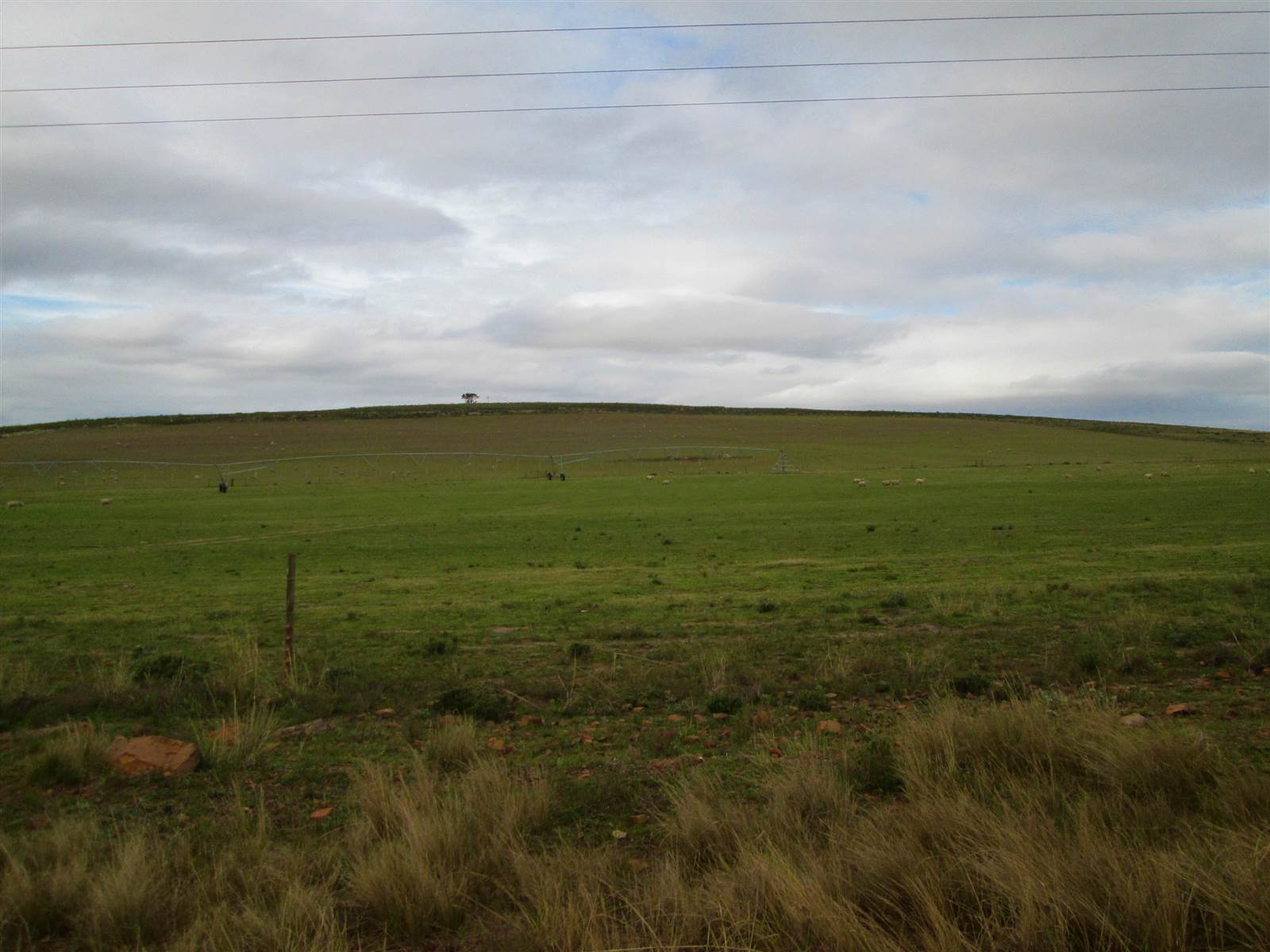 613 ha Farm in Humansdorp photo number 24