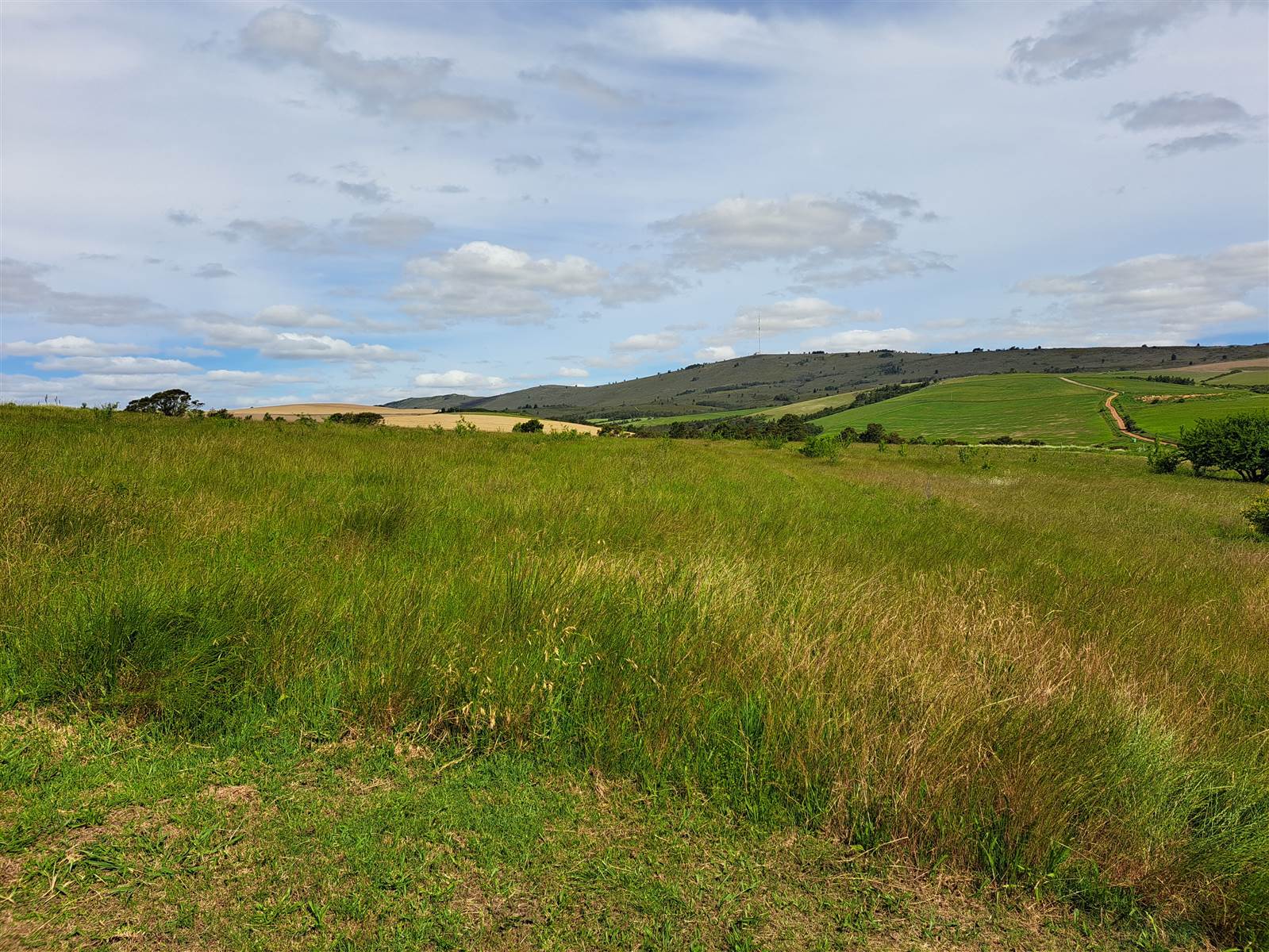 37 ha Farm in Riversdale photo number 16