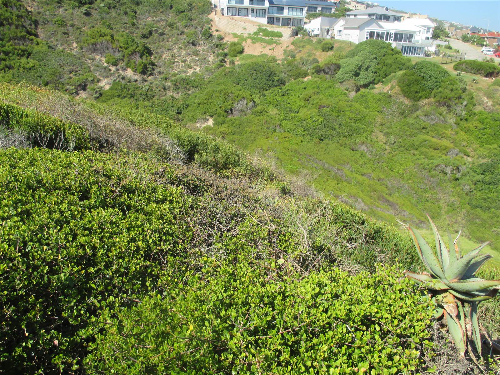 980 m² Land available in Dana Bay photo number 8