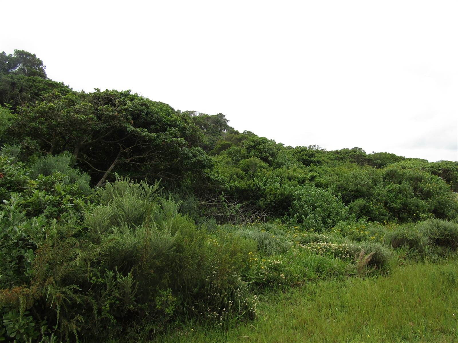 693 m² Land available in Oyster Bay photo number 4