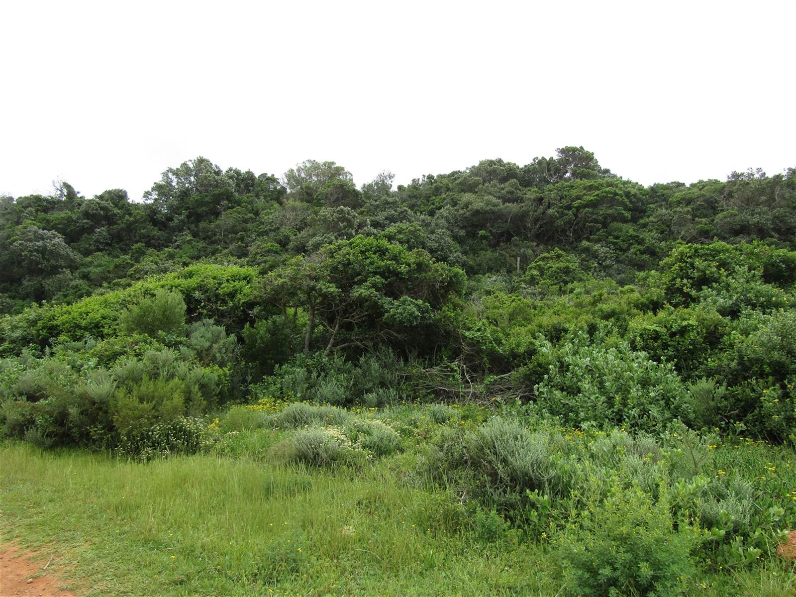 693 m² Land available in Oyster Bay photo number 3