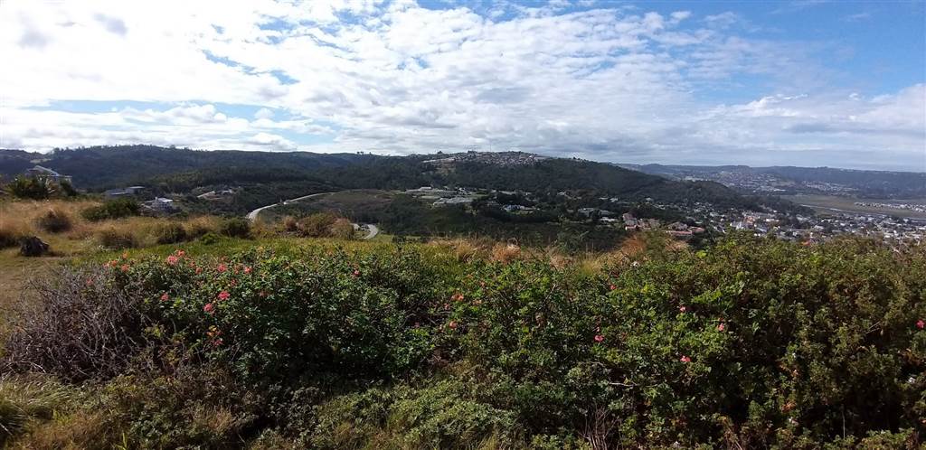 910 m² Land available in Knysna Heights photo number 4