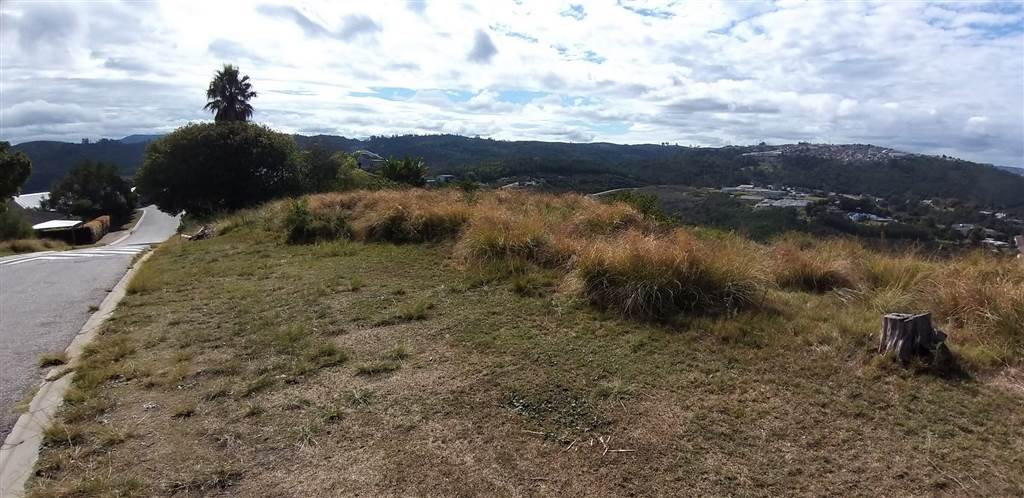 910 m² Land available in Knysna Heights photo number 5