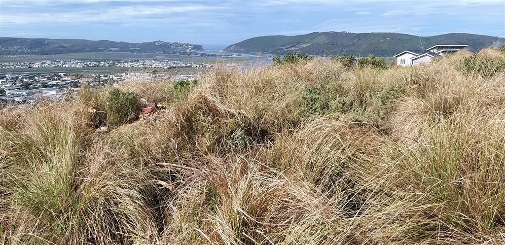 910 m² Land available in Knysna Heights photo number 3