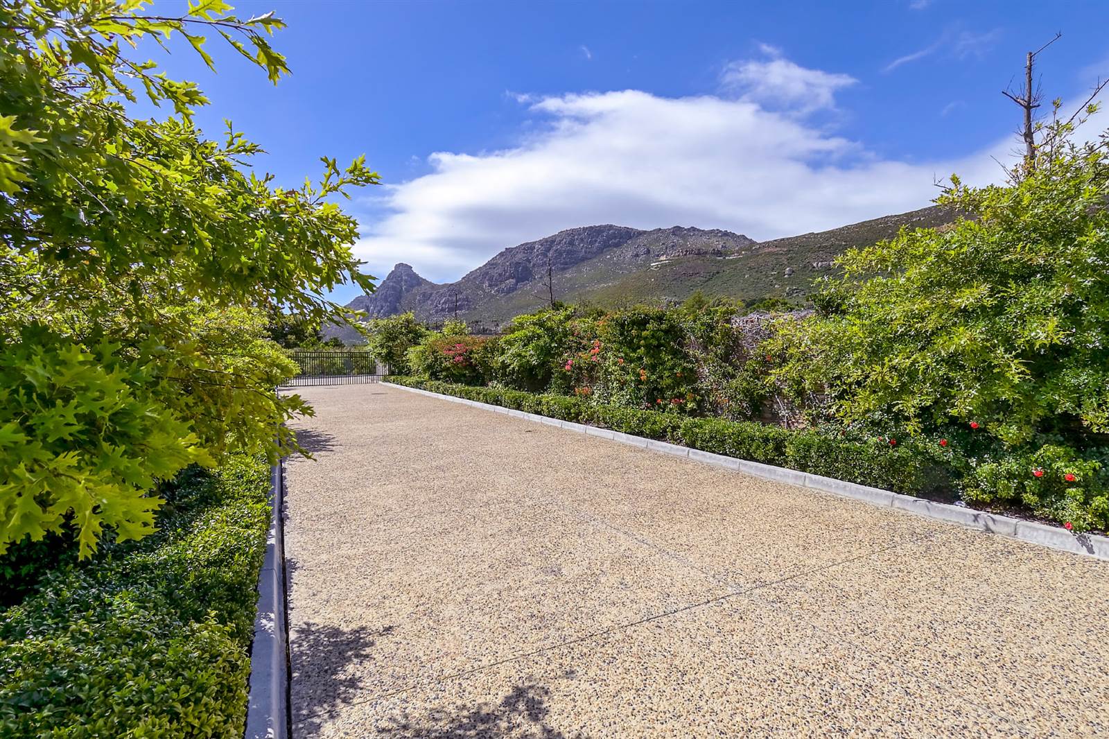 1493 m² Land available in Constantia photo number 2