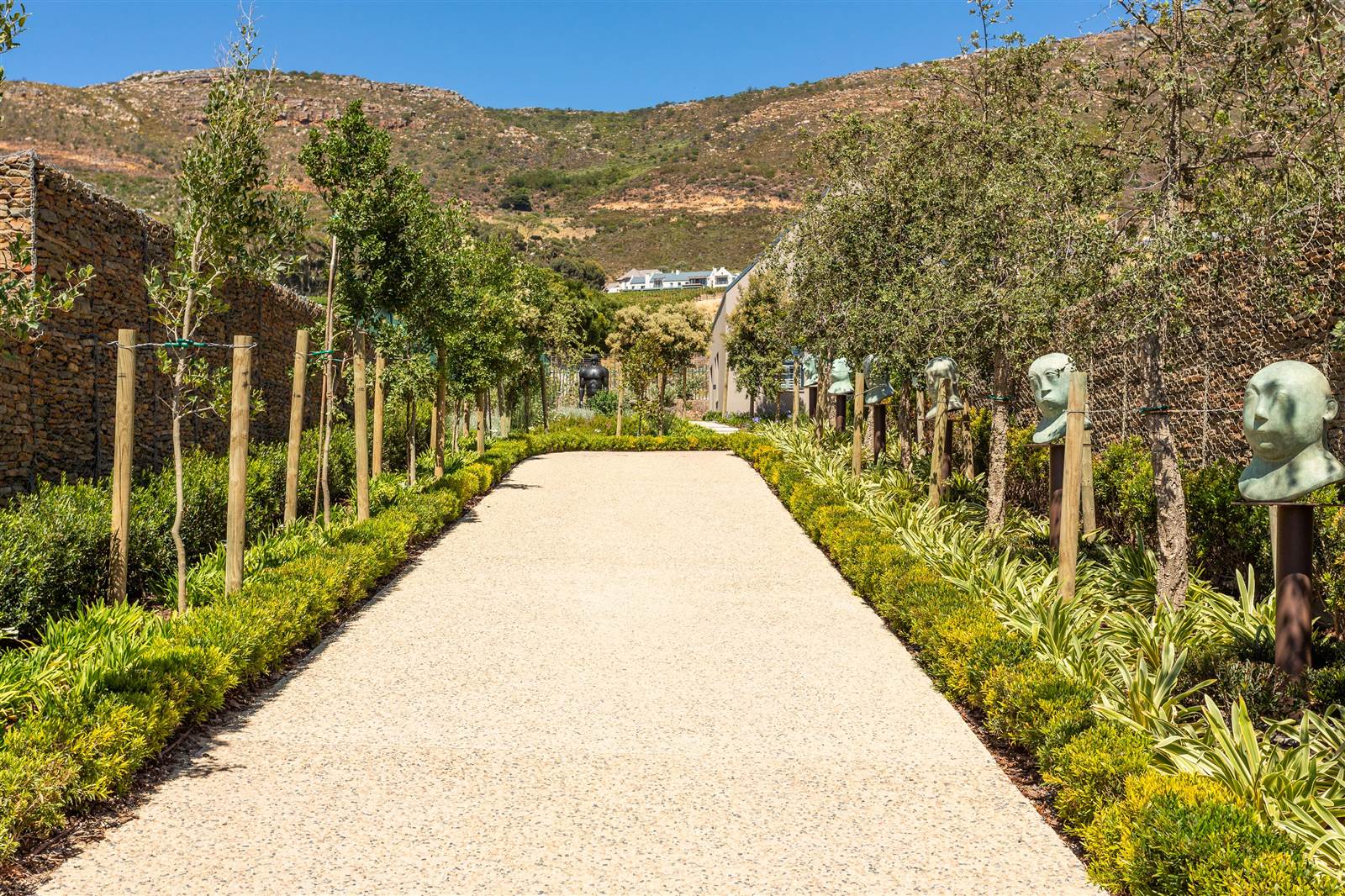 1493 m² Land available in Constantia photo number 19