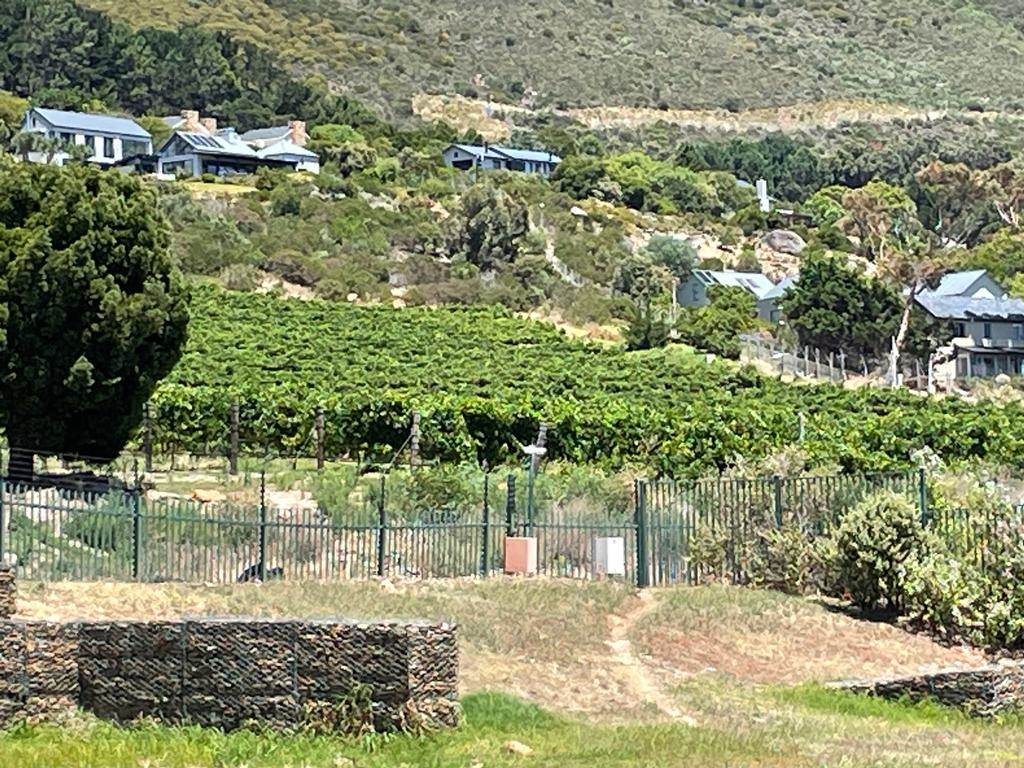 1493 m² Land available in Constantia photo number 20