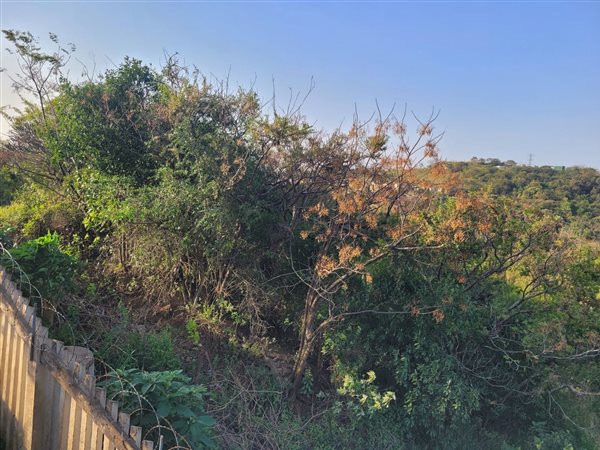 2364 m² Land available in Verulam
