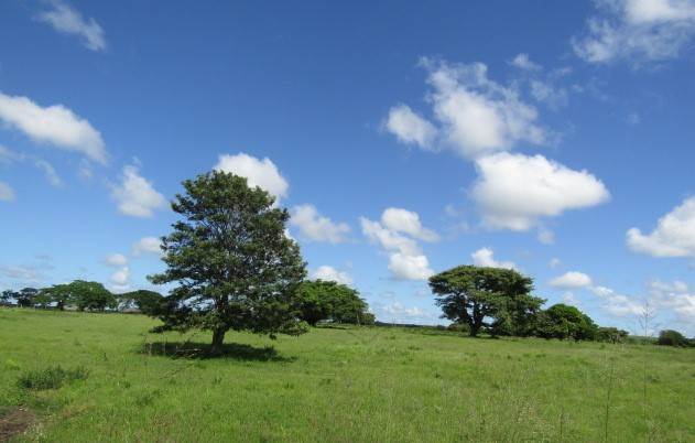 10 ha Land available in Mtubatuba photo number 6