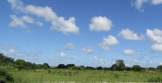 10 ha Land available in Mtubatuba photo number 4