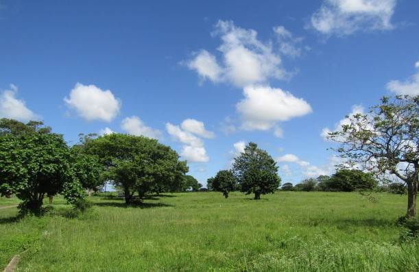 10 ha Land available in Mtubatuba photo number 5