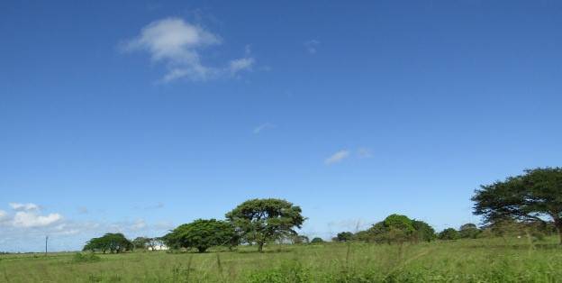 10 ha Land available in Mtubatuba photo number 2