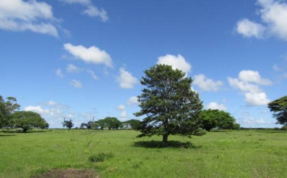 10 ha Land available in Mtubatuba photo number 7