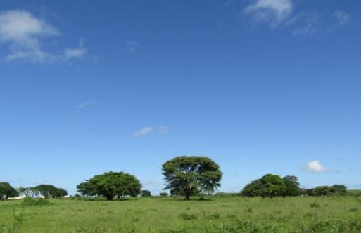 10 ha Land available in Mtubatuba photo number 3