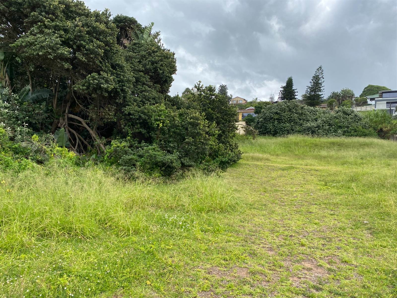 2023 m² Land available in Oslo Beach photo number 5
