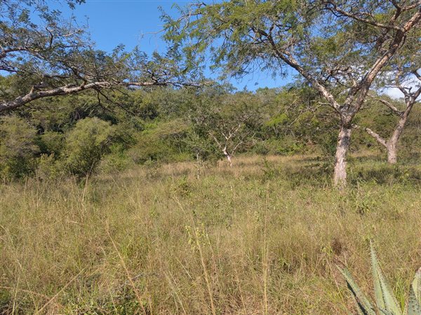 16.8 ha Land available in Nelspruit