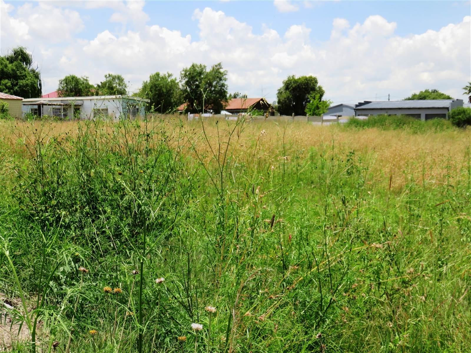 1487 m² Land available in Oranjeville photo number 9