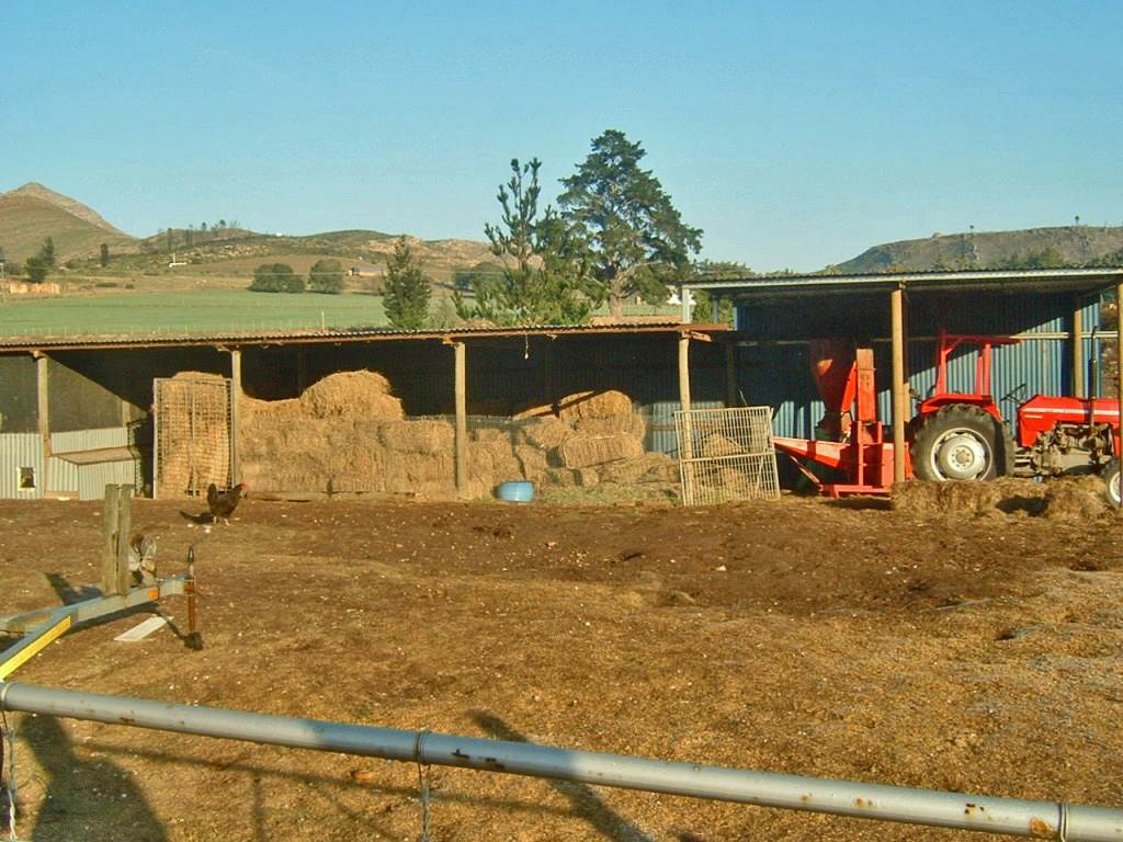 7 ha Farm in George Central photo number 2