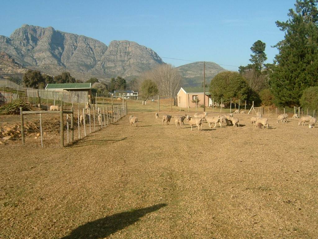 7 ha Farm in George Central photo number 1