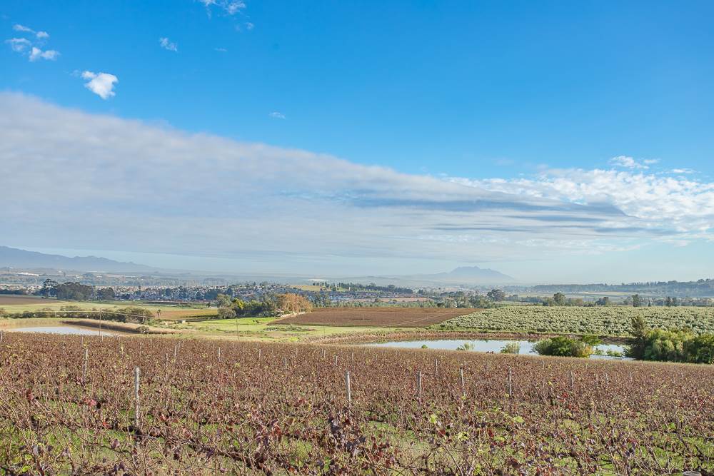 19.7 ha Farm in Northern Paarl photo number 9