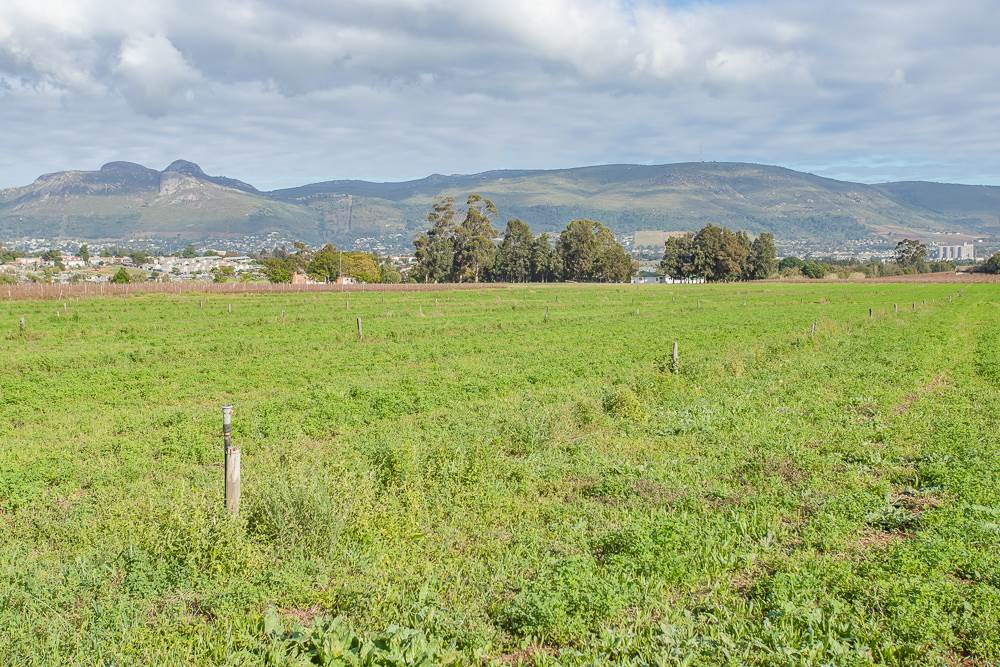19.7 ha Farm in Northern Paarl photo number 13