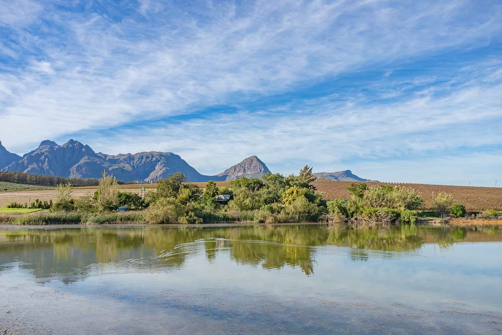 19.7 ha Farm in Northern Paarl photo number 4