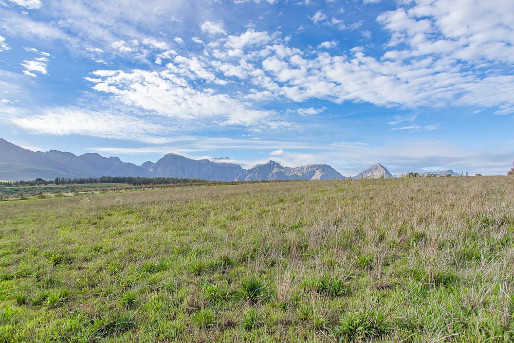 19.7 ha Farm in Northern Paarl photo number 8