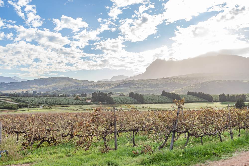 19.7 ha Farm in Northern Paarl photo number 7