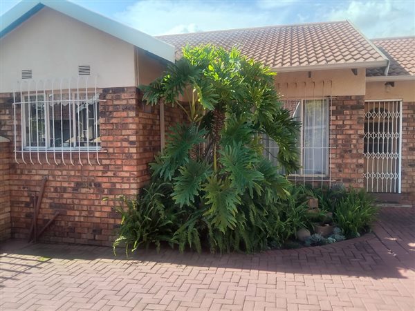 3 Bedroom House 3 Bedroom House