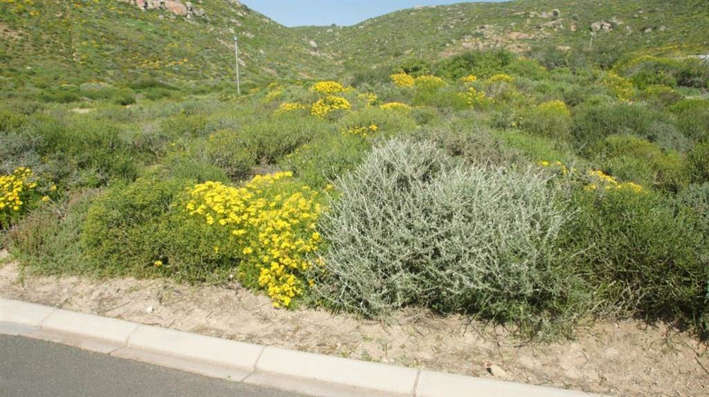 448 m² Land available in St Helena Views photo number 2