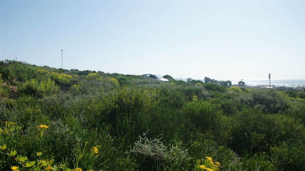 448 m² Land available in St Helena Views photo number 4