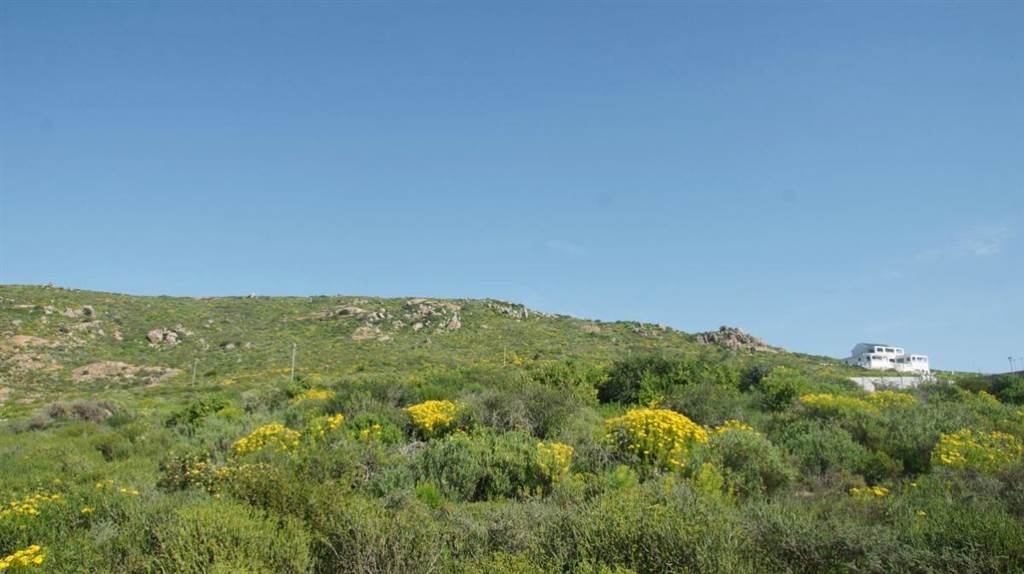 448 m² Land available in St Helena Views photo number 8