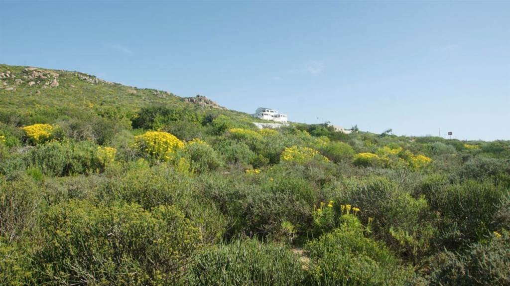 448 m² Land available in St Helena Views photo number 7
